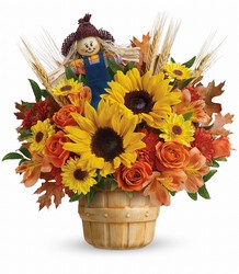 <b>Teleflora's Smiling Scarecrow Bouquet</b> from Scott's House of Flowers in Lawton, OK